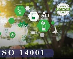 ISO 14001 Environmental Management System Sustainable Business Concept